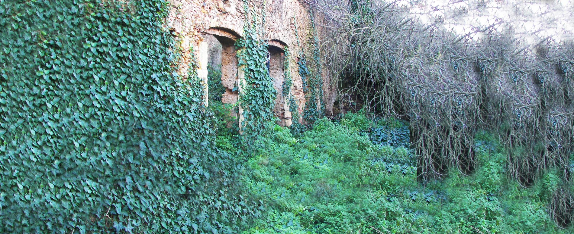 TALANTA WATERMILL (22 KM)